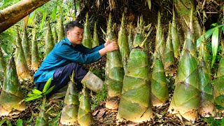 Bamboo shoots are cooked and served in outdoor meals. l Lý Thị Sai