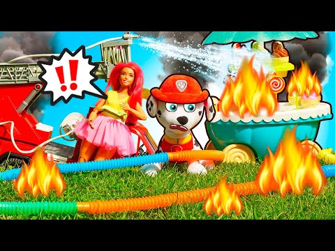 Spegniamo l'incendio con Marshall! Video per bambini. Scuola Allegra Paw Patrol