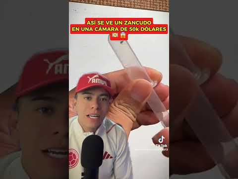 sancudo de cerca con camara de 50 mil dólares