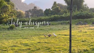 July vlog | Nature & Cafés in Arunachal Pradesh🛖🎋