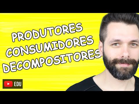 PRODUTORES, CONSUMIDORES E DECOMPOSITORES - Seres na Cadeia Alimentar | Biologia com Samuel Cunha