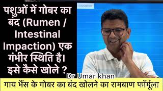 Impaction of rumen 