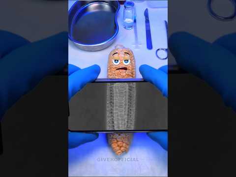 Corn gives birth to a baby #shorts #fruitsurgery