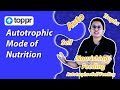 Photosynthesis and Plant Functions
