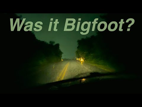 QUIET LITTLE STORY : Were We Stalked by Bigfoot?