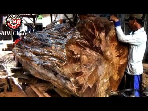 BIGGEST WOOD !! Don't be surprised at the results!! This is the most valuable rare wood in sawmill