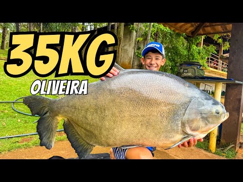 NOVO RECORDE : MEU MAIOR TAMBA DE GOAIS