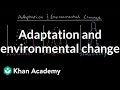 Natural Selection and Adaptation Concepts