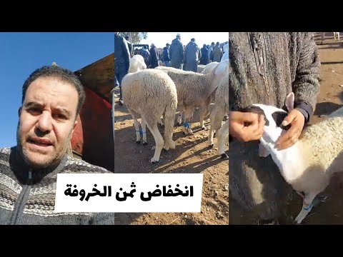 انخفاض أثمنة الخروفة جولة فسوق مع محمد زين الدين