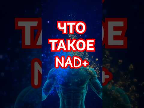 ЧТО ТАКОЕ NAD+ И ПОЧЕМУ О НЁМ ГОВОРЯТ ВСЕ