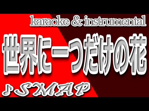 世界に一つだけの花/SMAP/カラオケ＆instrumental/歌詞/SEKAINI HITOTSUDAKENO HANA/SMAP