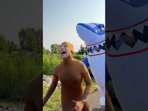 Dad Got Bitten By A Shark