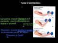 Muscle Contraction Types and Characteristics
