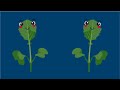 Trichome Counting and Natural Selection