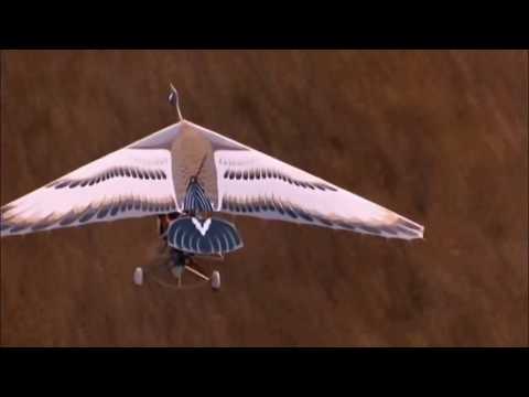 Fly away home - YouTube(4分56秒)