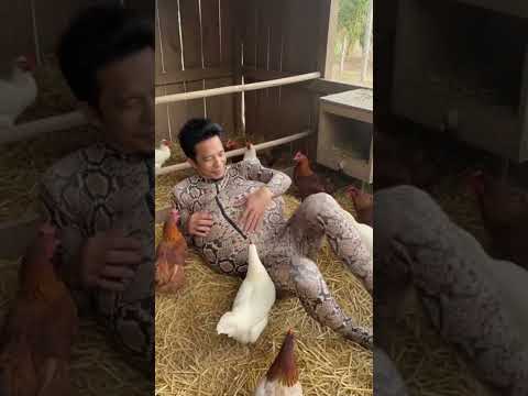 #snake #funny #memeclip #animals #memehub #comedy