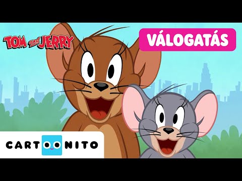 Őrületes hajsza New York Cityben! | Tom és Jerry New Yorkban – megamaraton | Cartoonito