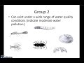 Macroinvertebrates and Water Quality Testing