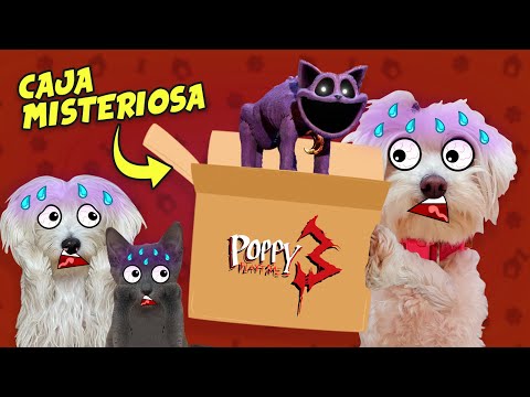 PERRO Y GATO ABREN CAJA MISTERIOSA DE POPPY PLAYTIME CAPÍTULO 3 !! 😱📦