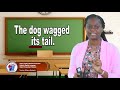 Understanding Possessive Pronouns