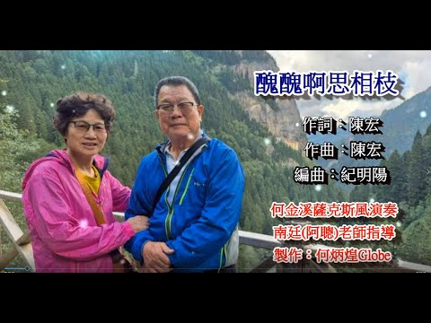醜醜啊思相枝~附KTV歌詞~何金溪薩克斯風演奏