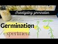 Seed Germination Experiment Insights