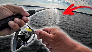 como Pescar Peces Gigantes??? Imágenes de Sonar Livescope 2025