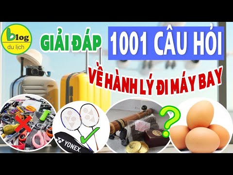 Quy định về hành lý ký gửi và hành lý xách tay khi đi máy bay