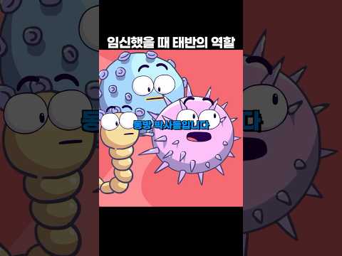 태아를 찾아온 동방박사들