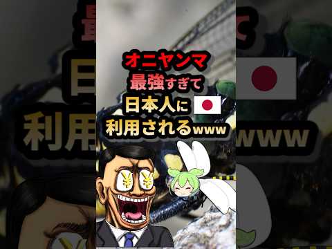 オニヤンマ最強すぎて日本人に利用されるwww