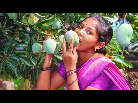 MANGO CAKE | Fresh Farm Mango Cake Recipe | Village Super Cooking