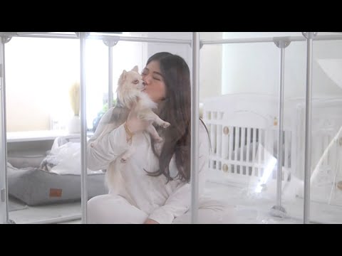 Penthouse upgrade for the furbabies | CLEARLY LOVED PETS 🐾✨ FULL VIDEO ❤️