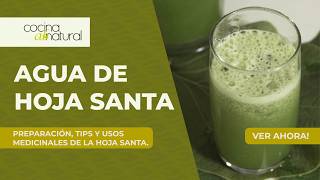 5 Días con Hoja Santa para CAMBIAR Tu Salud Respiratoria y Digestiva