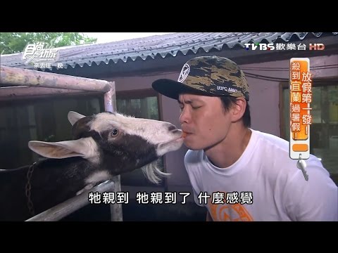 【宜蘭】宜農牧羊場 可愛動物零距離 食尚玩家 20160704