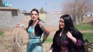 دینا لە قاز دەترسێت