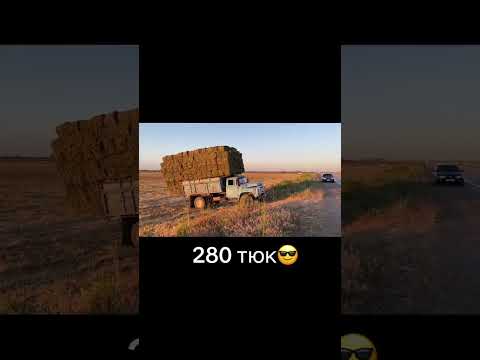 зил