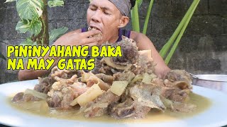 PININYAHANG BAKA NA MAY GATAS