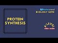 Sickle Cell Disease and Genetics