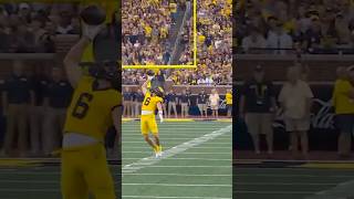 HOLY MOLY MICHIGAN 👀🏈