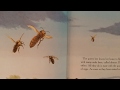 Bee Behavior and Honey Production