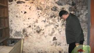 Mold Facts: The Nuts and Bolts