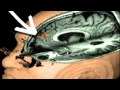 Mirror Neurons and Social Learning