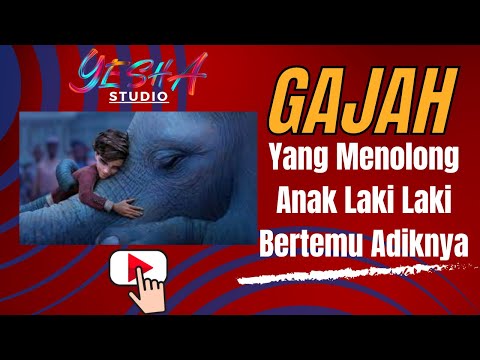 Gajah yang menolong anak laki laki bertemu adiknya       #storytelling  #alurcerita