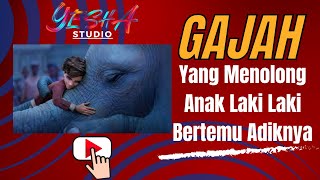 Gajah yang menolong anak laki laki bertemu adiknya       #storytelling  #alurcerita