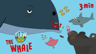 Fun Ocean Music! 🎵The Whale 🐳 Songs for Kids 🌊 ClawLoLo | Muffin Socks