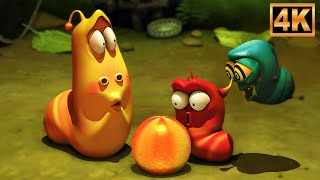 Larva - La Mosca Traviesa! | Episodio Cómico de Dibujos Animados para Niños