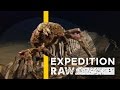 Deep Sea Research and Observations