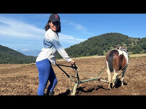 Aprendí a arar la tierra con un caballo
