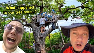 What did they do with the TREE HOUSE on the UNINHABITED ISLAND!!! 😱 Electric ARMOR and MONKEYS!