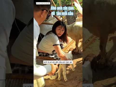 anh cần thủ xin 1 con dê của em gái xinh đẹp để làm mồi câu nhưng em ấy 0 cho và cái kết #fishing